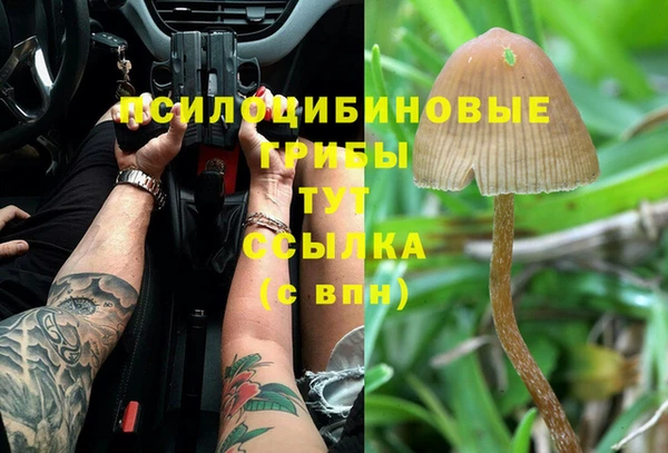 шишки Балахна