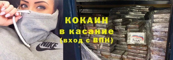 шишки Балахна