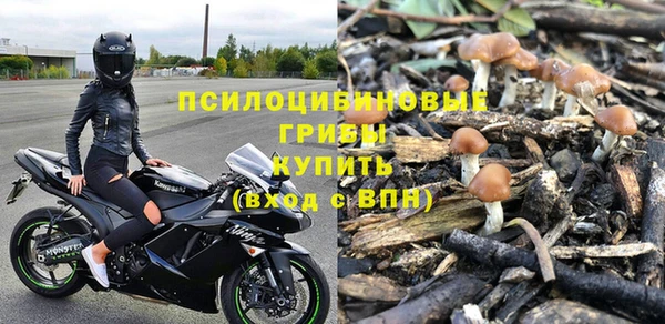 шишки Балахна
