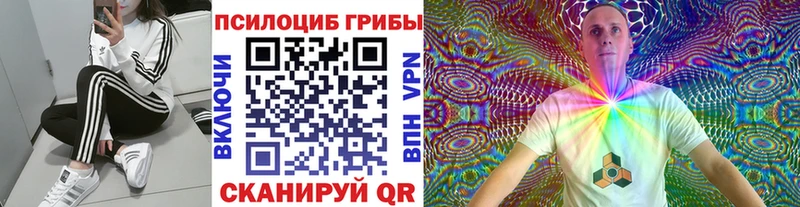 Псилоцибиновые грибы Psilocybe  Лабинск 